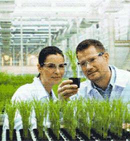 Статья в журнале