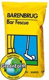 Bar Fescue